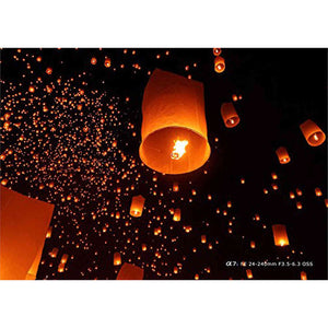 Sony SEL24240 FE 24-240mm f/3.5-6.3 OSS Zoom Lens for Mirrorless Cameras