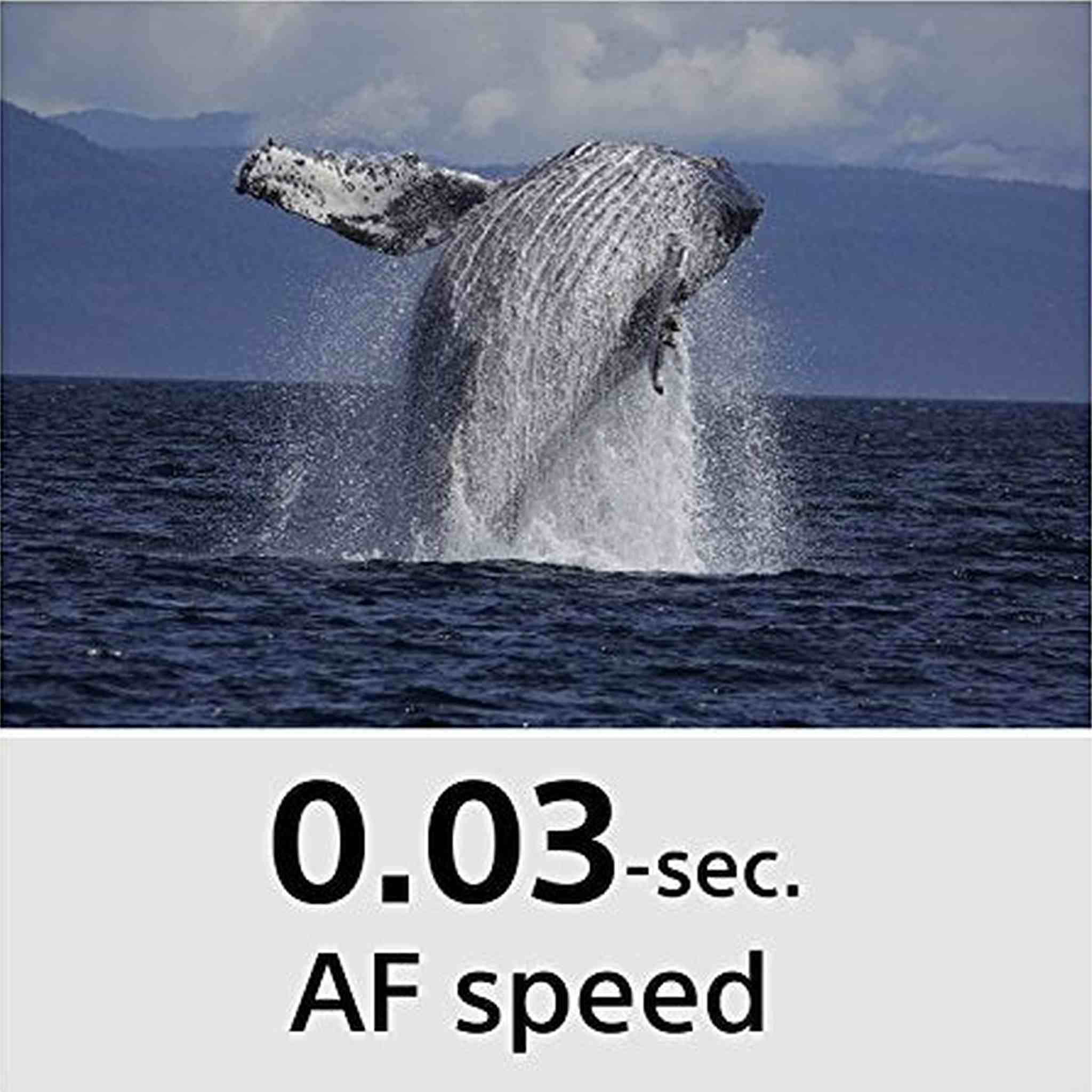 Sony Cyber?Shot RX10 IV with 0.03 Second Auto-Focus & 25x Optical Zoom DSC-RX10M4 - Used Sony