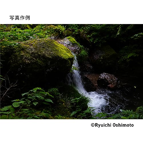 Sigma 28-70mm F2.8 DG DN for Sony E