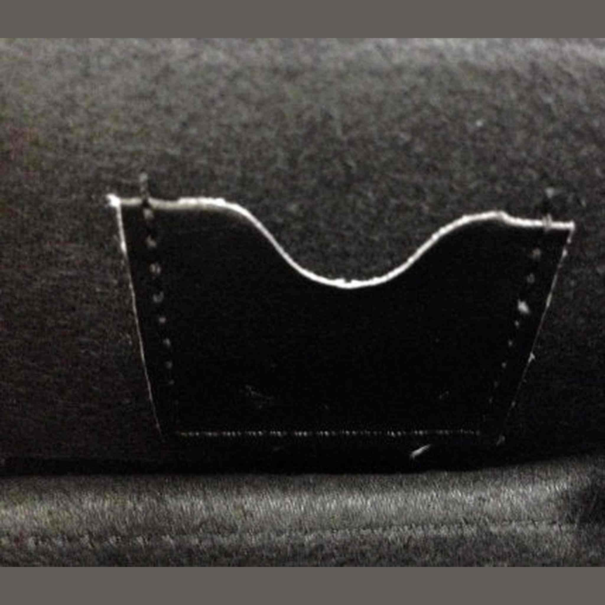 Nikon Coolpix Black Leather Case for Nikon Coolpix S Series Digital Cameras - S6000, S6100, S8000, S8100