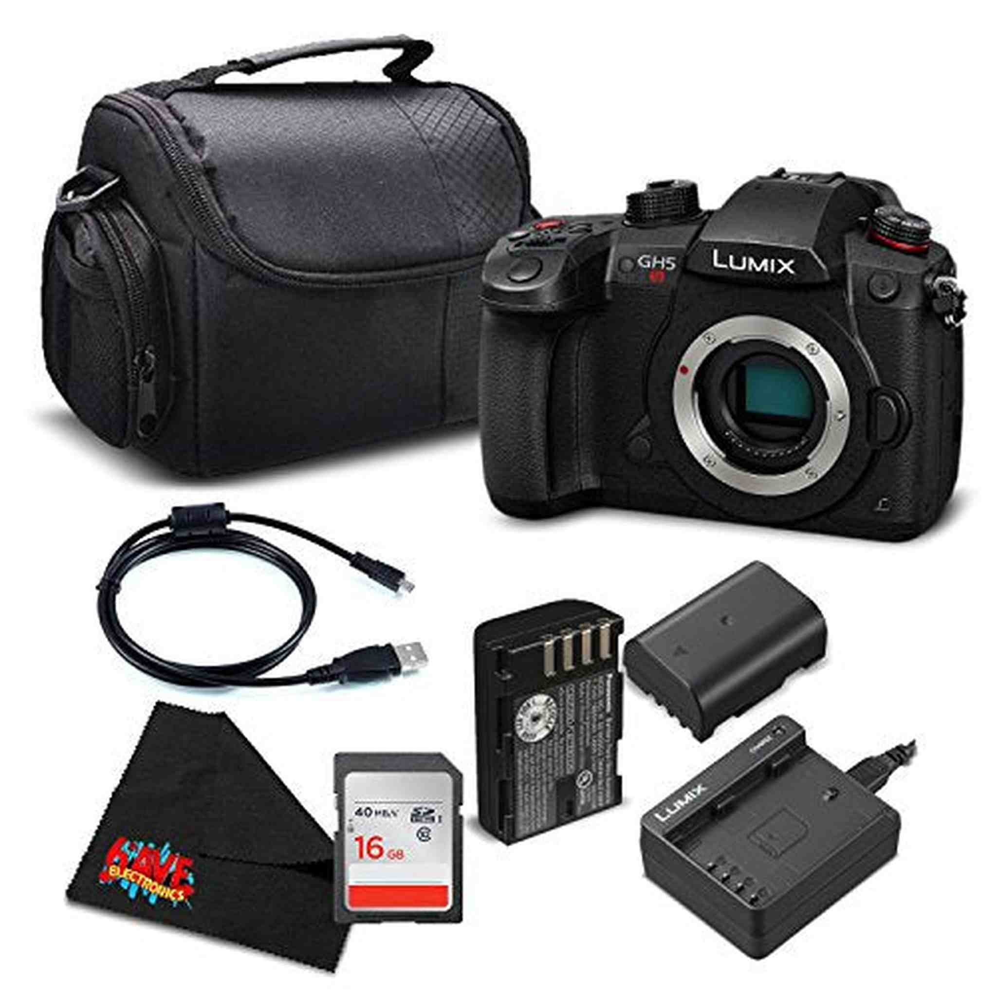 Panasonic Lumix DC-GH5S Mirrorless Micro Four Thirds Digital Camera DC-GH5S - Silver + Level Bundle- International Version