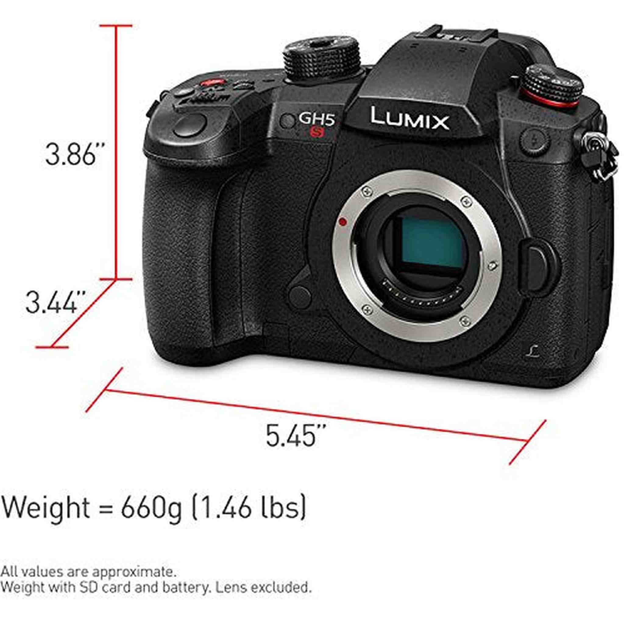 Panasonic Lumix DC-GH5S Mirrorless Micro Four Thirds Digital Camera DC-GH5S- Platinum Plus + Level Bundle International