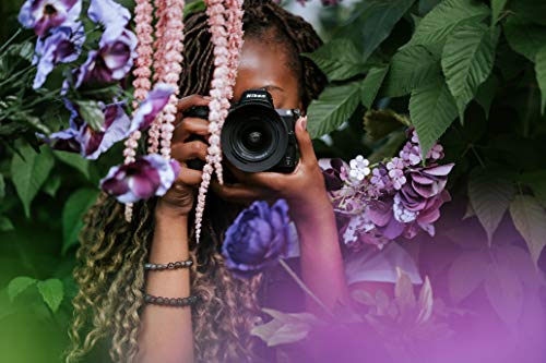 Nikon Z 5 w/NIKKOR Z 24-50mm f/4-6.3