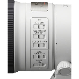 Sony FE 300mm f/2.8 GM OSS Lens Sony E + Sling Backpack + Photography Software + More