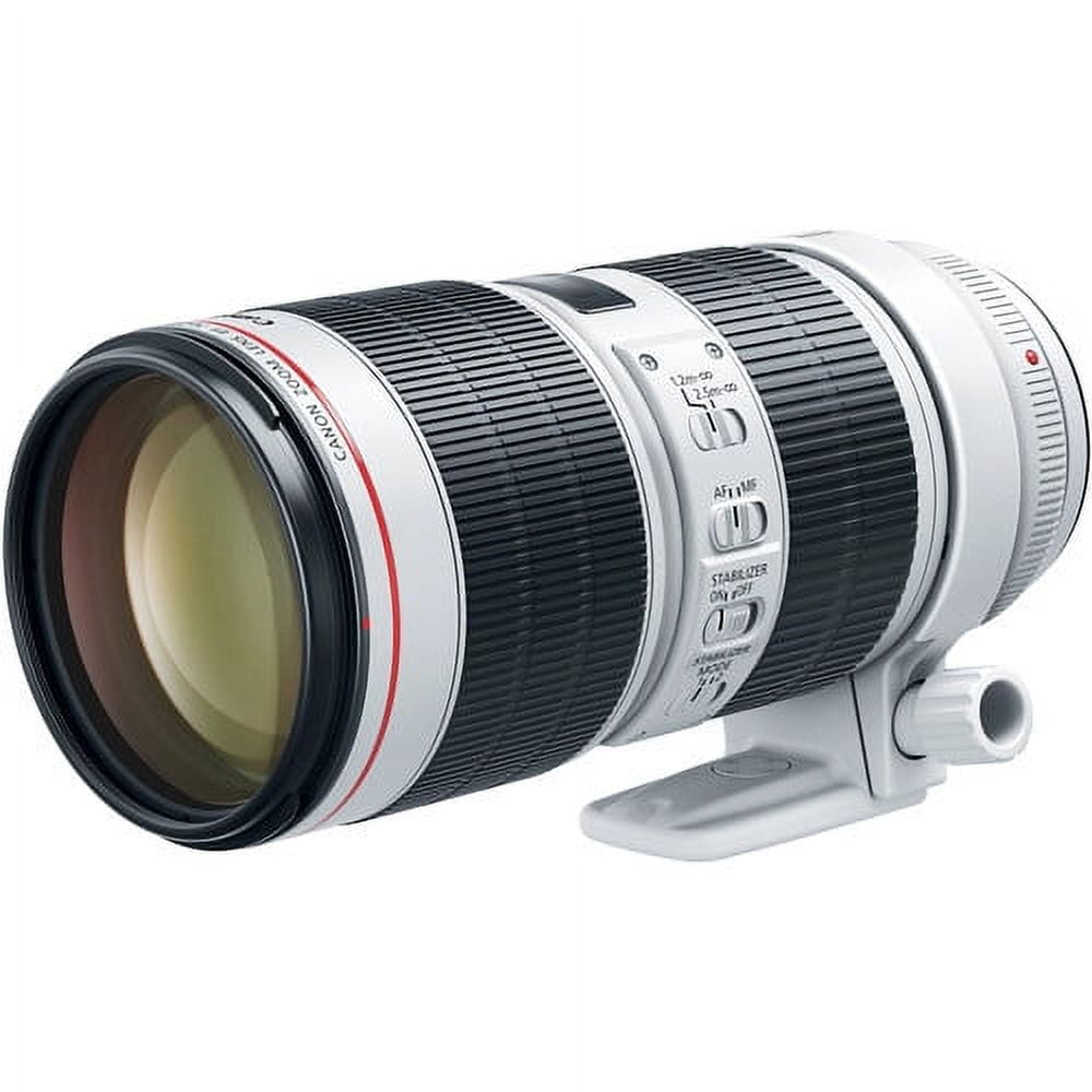 Canon EF 70-200mm f/2.8L IS III USM Lens