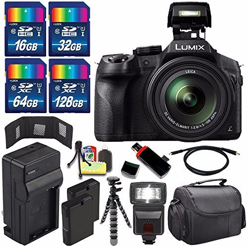 Panasonic Lumix DMC-FZ300 Digital Camera + Extra Battery + Charger + 240GB Bundle