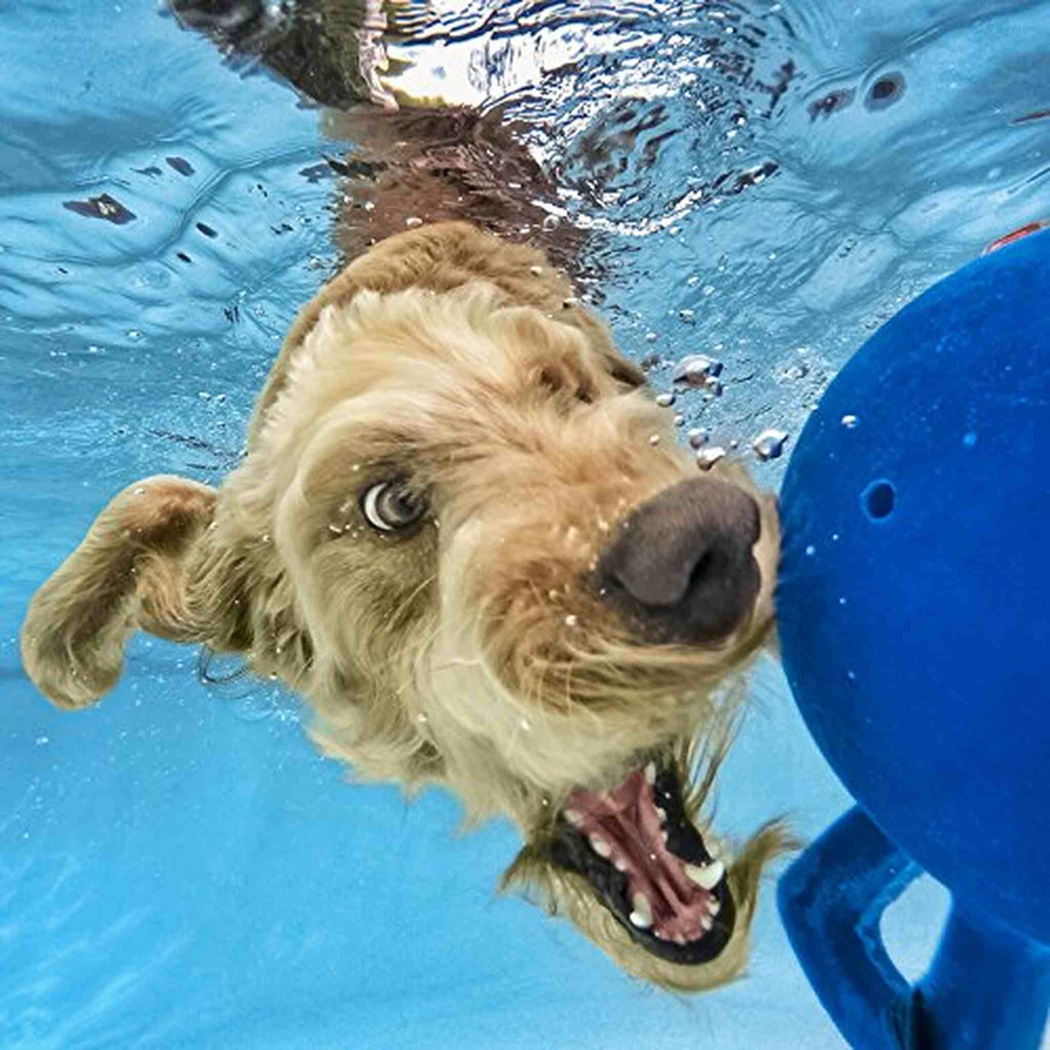 GoPro HERO+ Wi-Fi Enabled GoPro