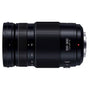 Panasonic Lumix G Vario 100-300mm f/4-5.6 II POWER O.I.S. Lens