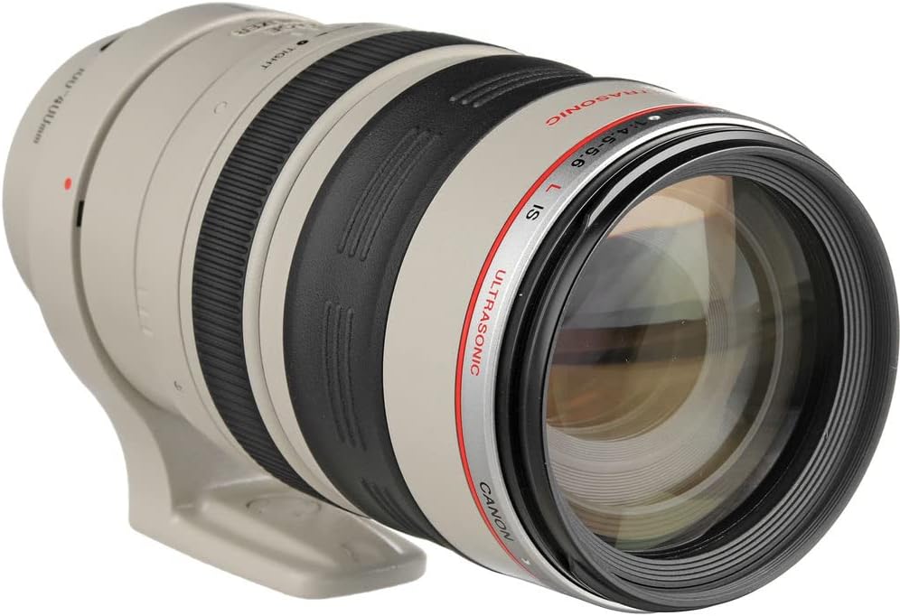 Canon EF 100-400mm f/4.5-5.6L IS USM Telephoto Zoom Lens for Canon SLR Cameras