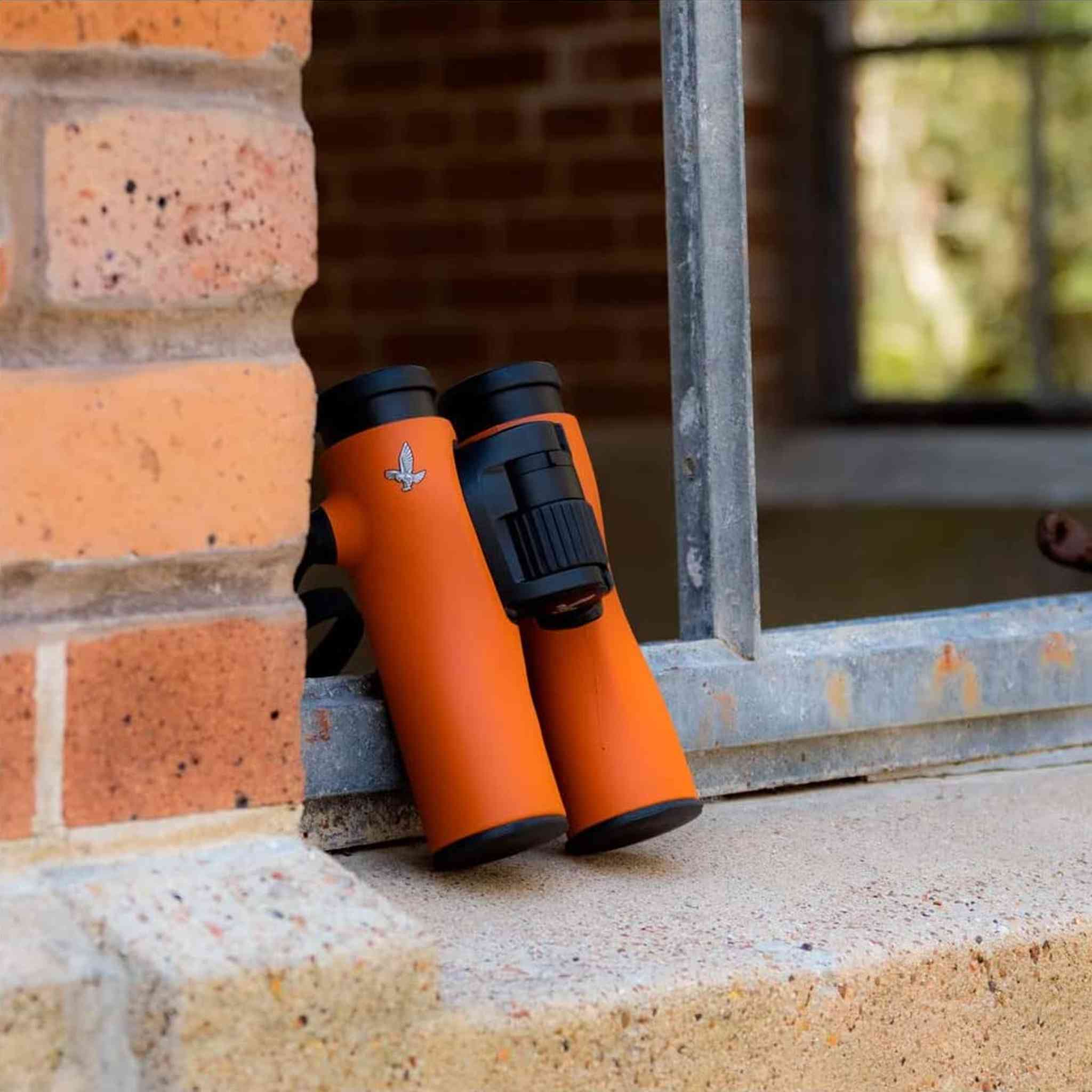 Swarovski 8x32 NL Pure Binoculars Burnt Orange with Pro Accessory Kit Swarovski