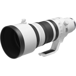 Canon RF100-300mm F2.8 L is USM Canon