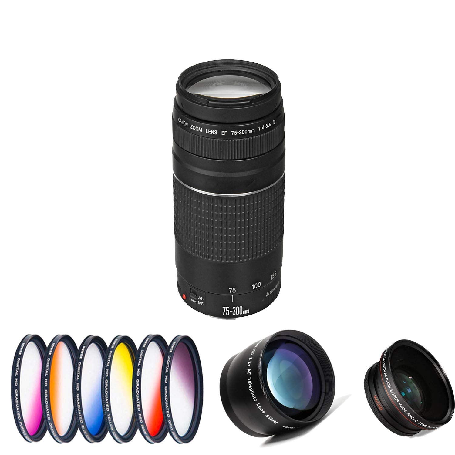 Canon EOS Rebel T6 18-55 DC III Kit + Canon EF 75-300 4.0-5.6 III + Corel Pinnacle Studio + 2X SanDisk 32GB + More