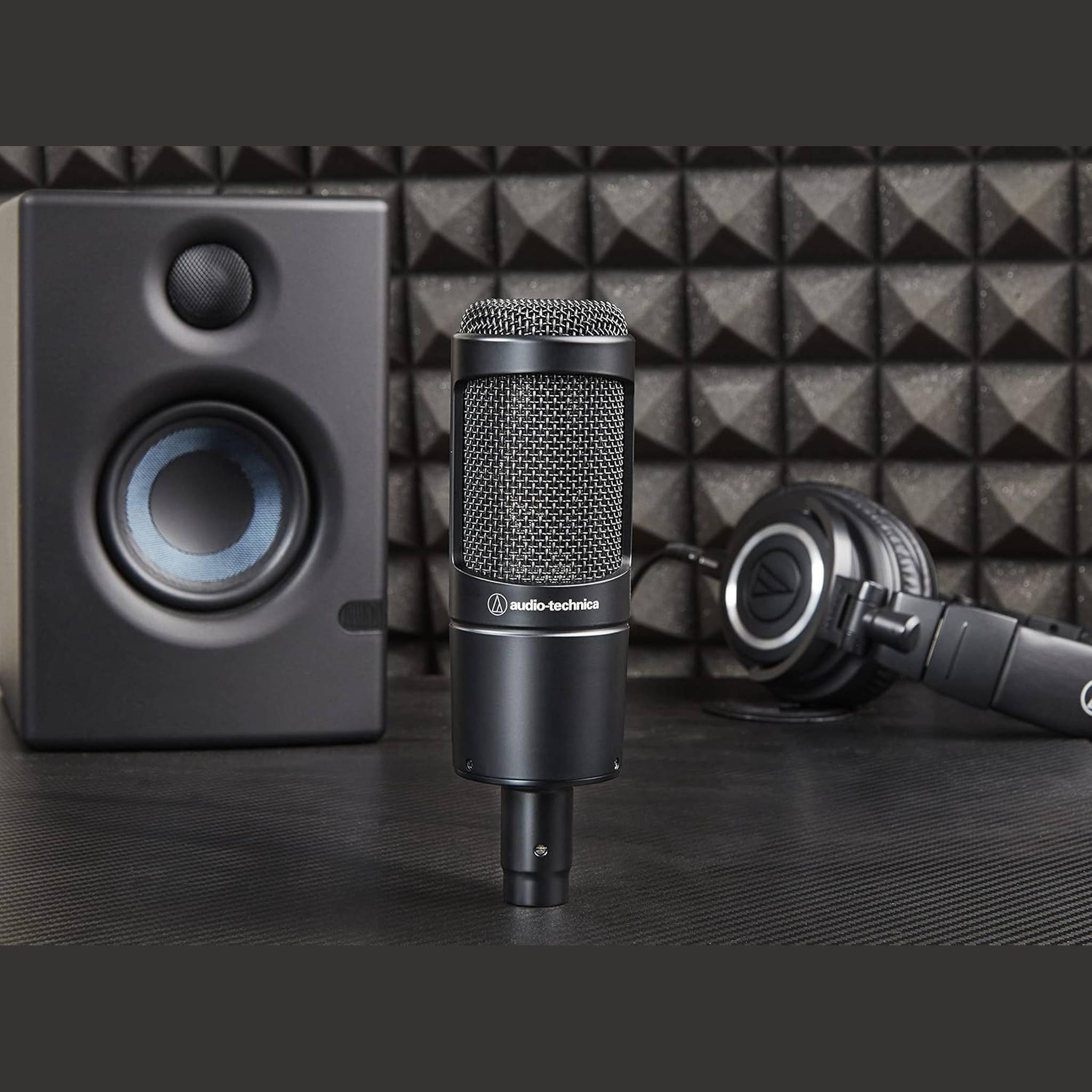 Audio-Technica AT2035 Cardioid Condenser Microphone, 10 Ft XLR Cable, Bundle