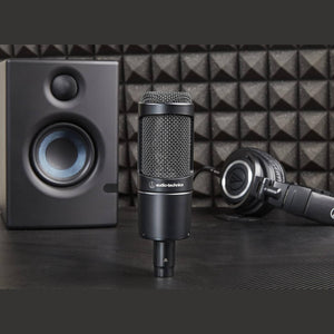 Audio-Technica AT2035 Cardioid Condenser Microphone, 10 Ft XLR Cable, Bundle