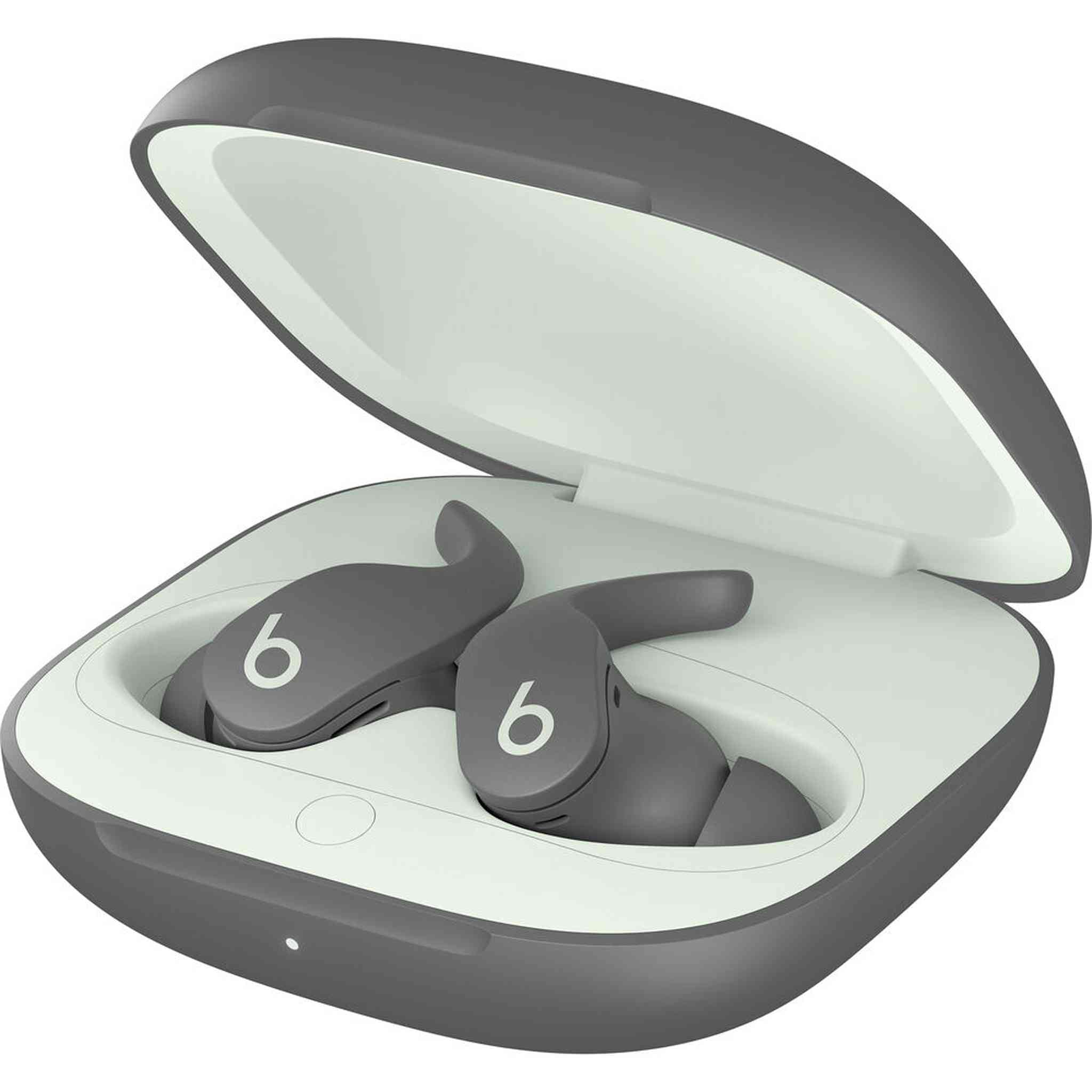 Beats Fit Pro Noise-Canceling True Wireless In-Ear Headphones Grey Bundle and Accessories