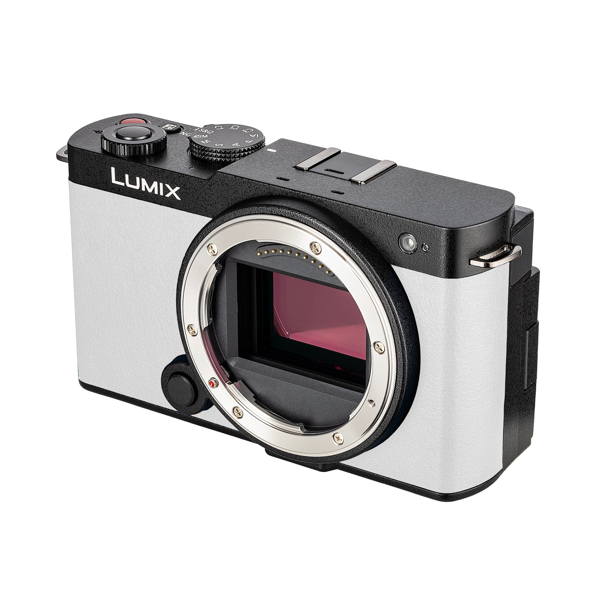 Panasonic Lumix S9Camera White , 64GB Memory Card