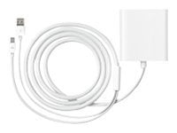 Apple Mini DisplayPort to Dual-Link DVI Adapter