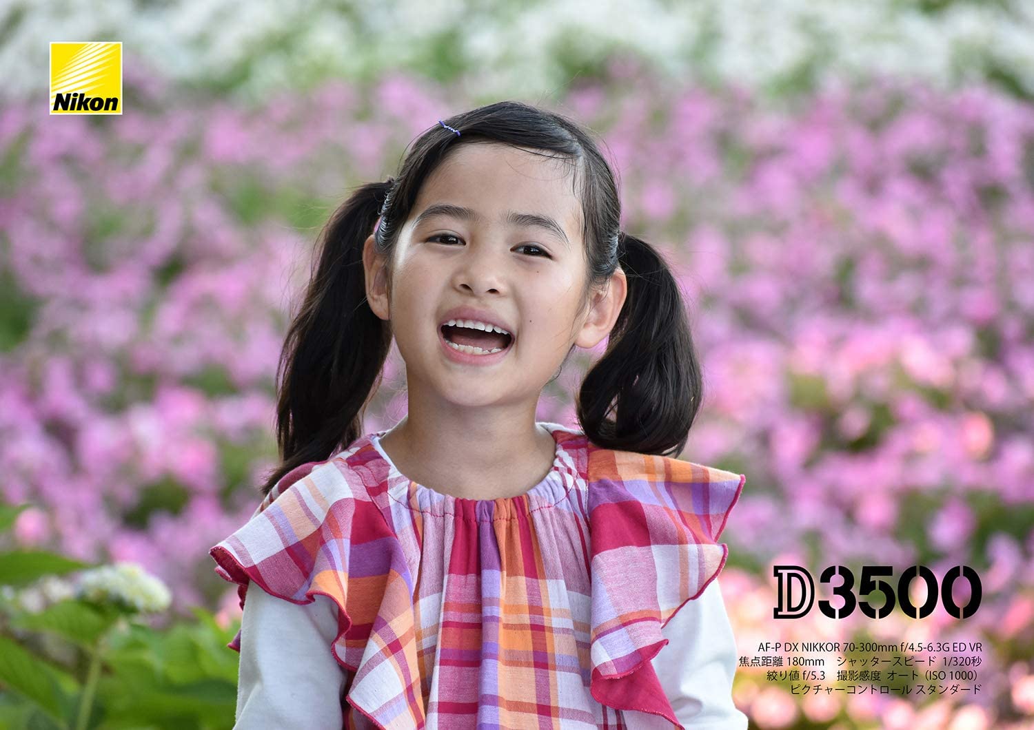 Nikon D3500 24.2MP DX-Format DSLR Digital Camera Body Only - Japan Import