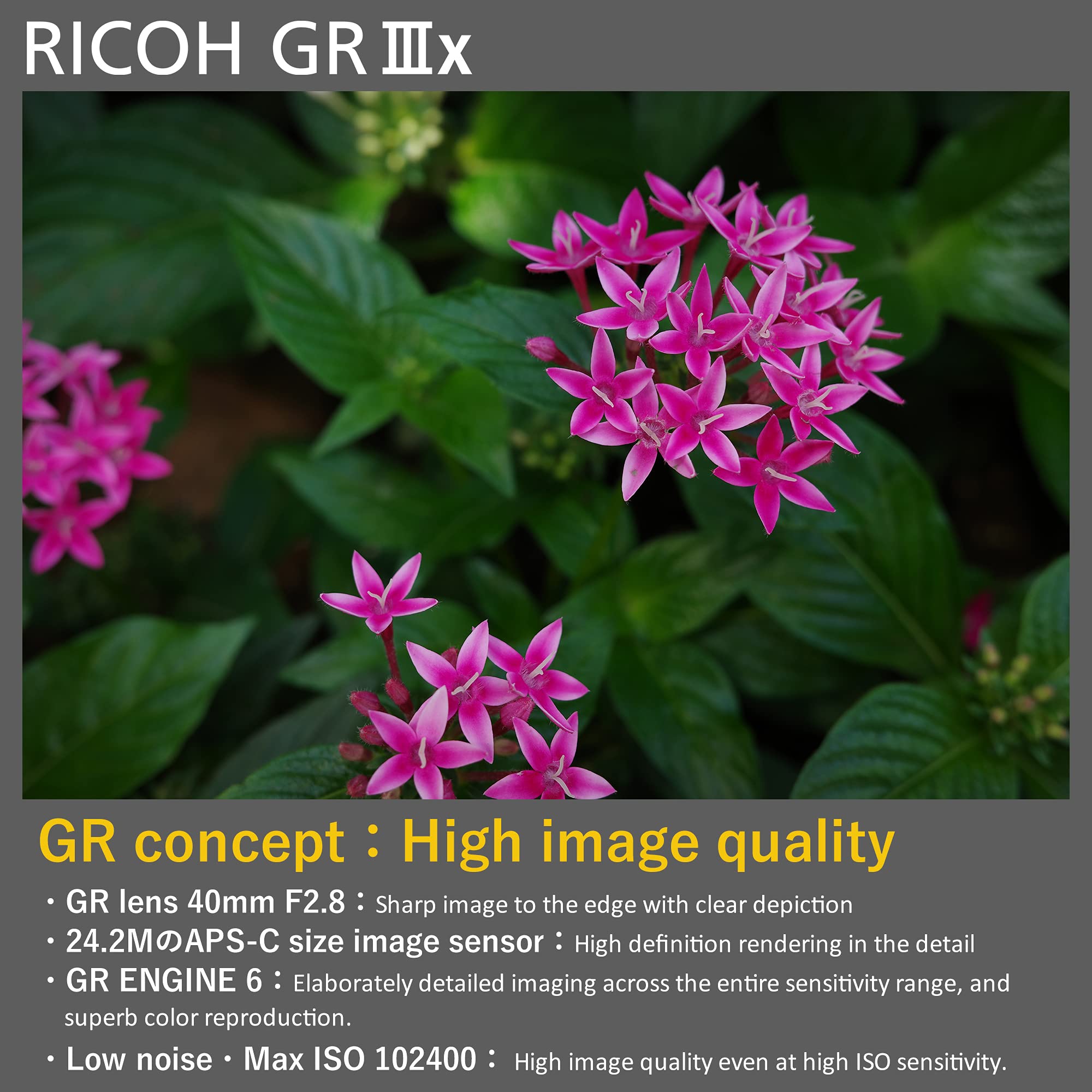 Ricoh GR IIIx, Black, Digital Compact Camera with 24MP APS-C Size CMOS Sensor