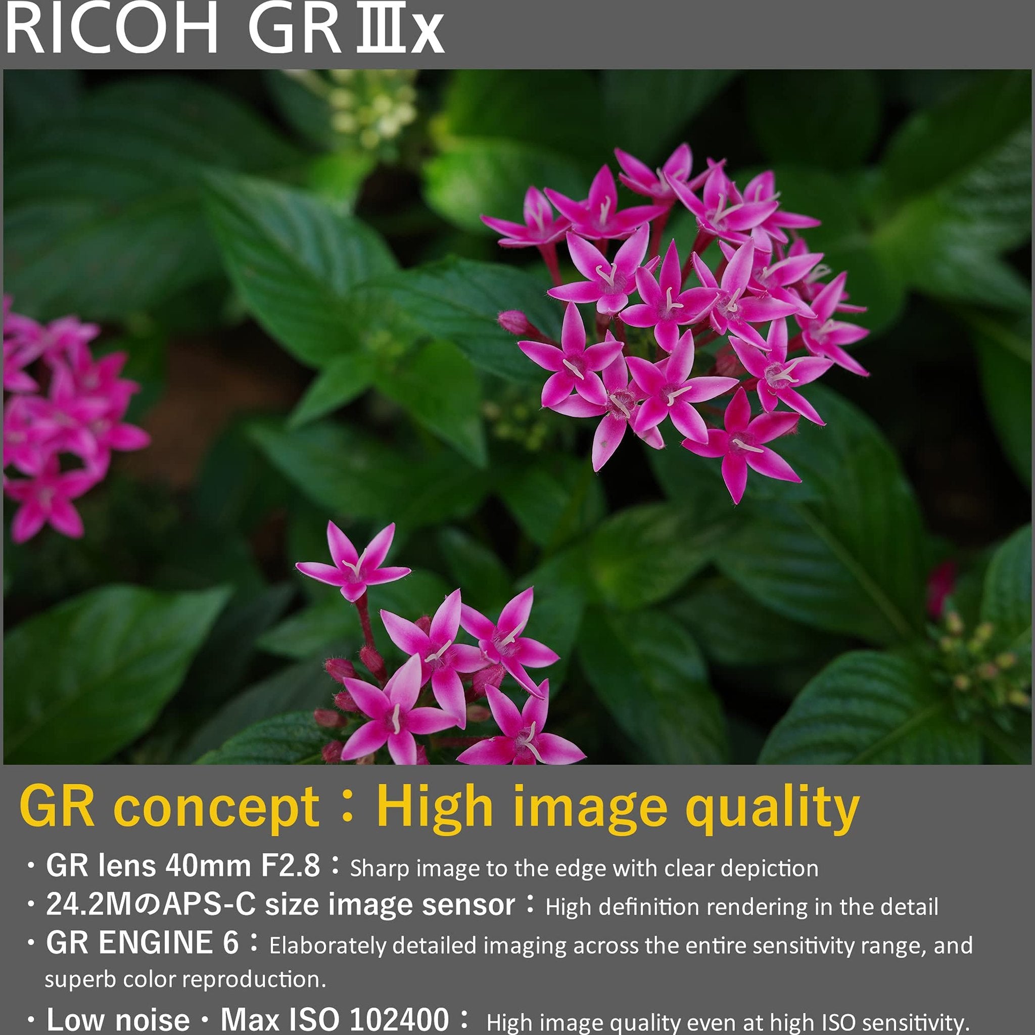 Ricoh GR IIIx, Black, Digital Compact Camera with 24MP APS-C Size CMOS Sensor Ricoh