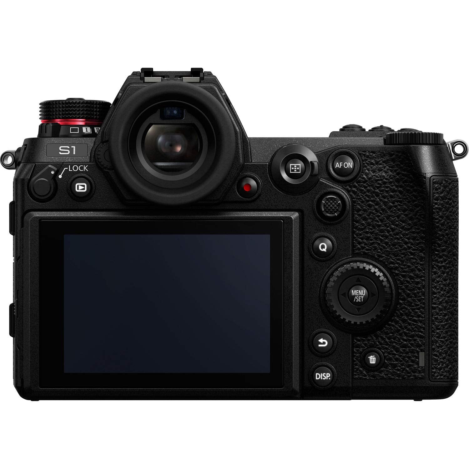 Panasonic Lumix DC-S1 Mirrorless Digital Camera with 24-105mm Lens NEW - Pro Photographer Bundle