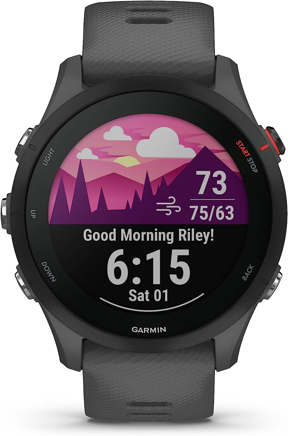 Garmin Forerunner 255 - Slate Gray with Deluxe Workout Bundle