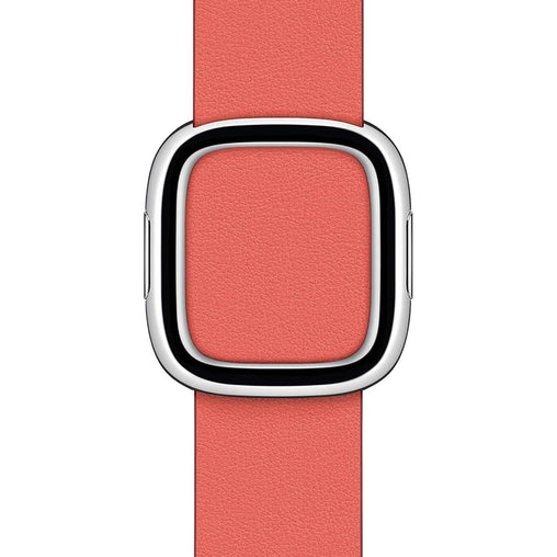 Apple Watch Band - Modern Buckle 40mm - Pink Citrus - Large
