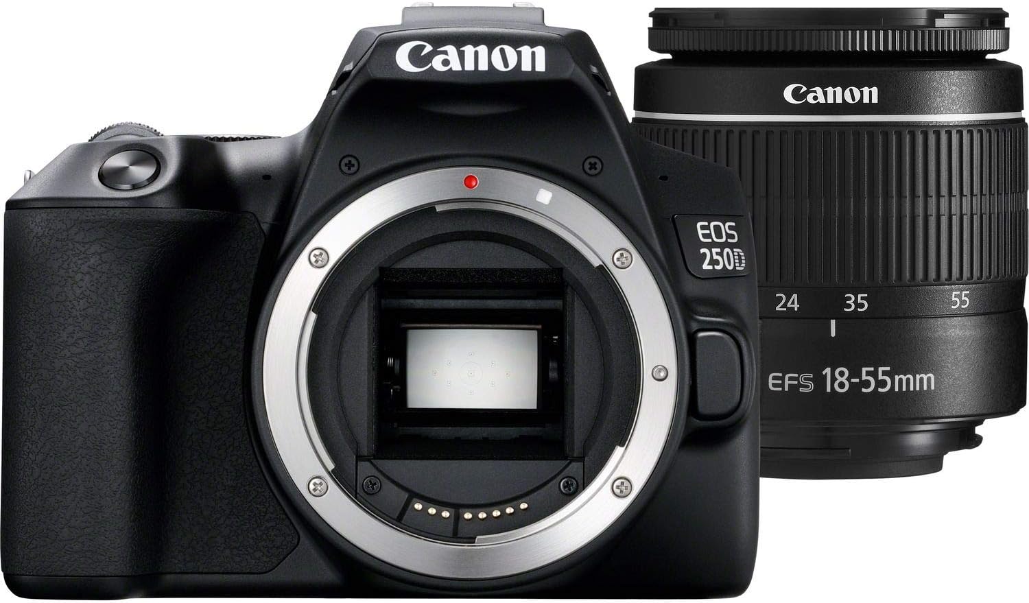 Canon EOS 250D / Rebel SL3 DSLR Camera with 18-55mm Lens & Accessory Bundle