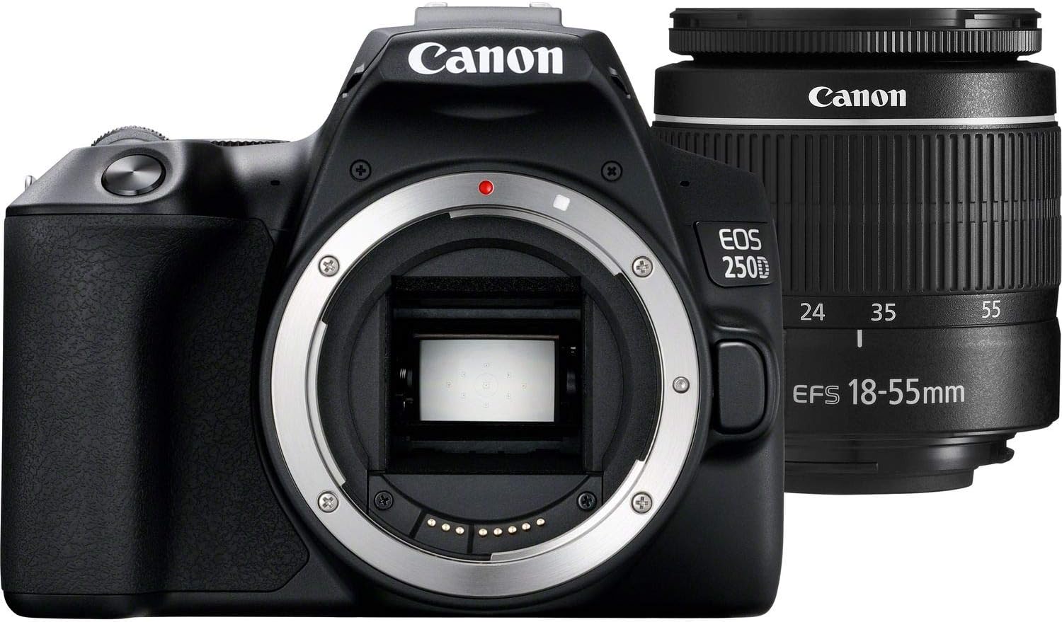 Canon EOS 250D / Rebel SL3 DSLR Camera with 18-55mm Lens (Black) + Creative Filter Set, EOS Camera Bag + 6AVE Electronics