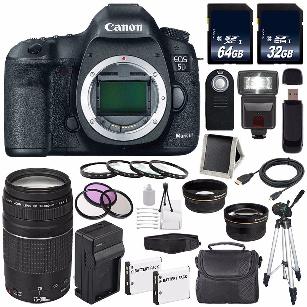 Canon EOD 5D III Digital Camera International Model + Canon EF 75-300 III+ LP-E6 Replacement Battery + Charger + 64GB SD Ultimate Bundle