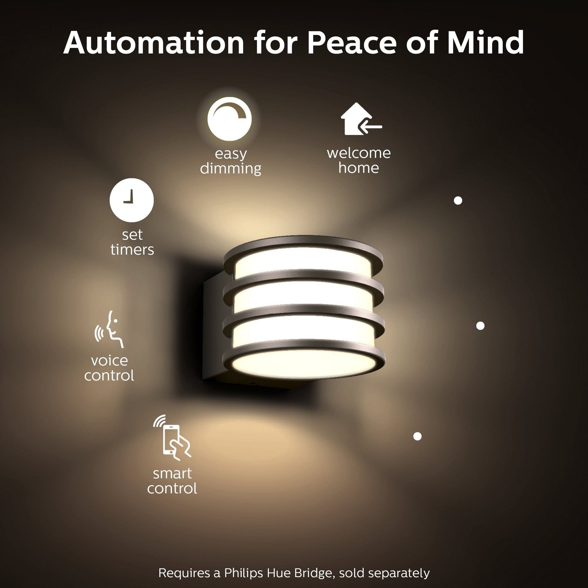 Philips Hue 802058 Lucca Outdoor Lantern, One Size, Black Bundle