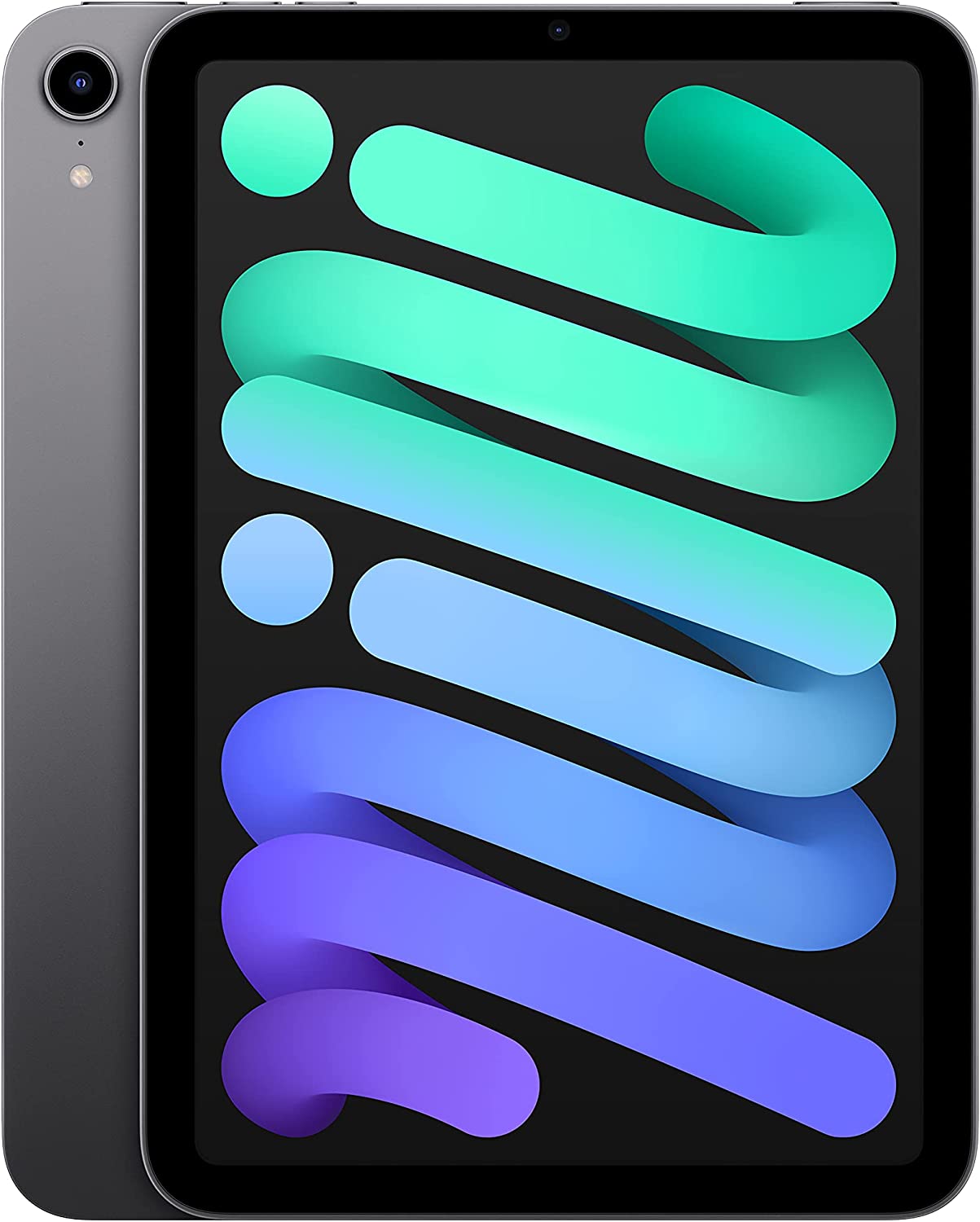 Apple iPad Mini 6 64GB, Cellular, Space Gray Bundle with Zipper Sleeve