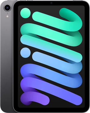 Apple iPad Mini 6 64GB, Cellular, Space Gray Bundle with Zipper Sleeve