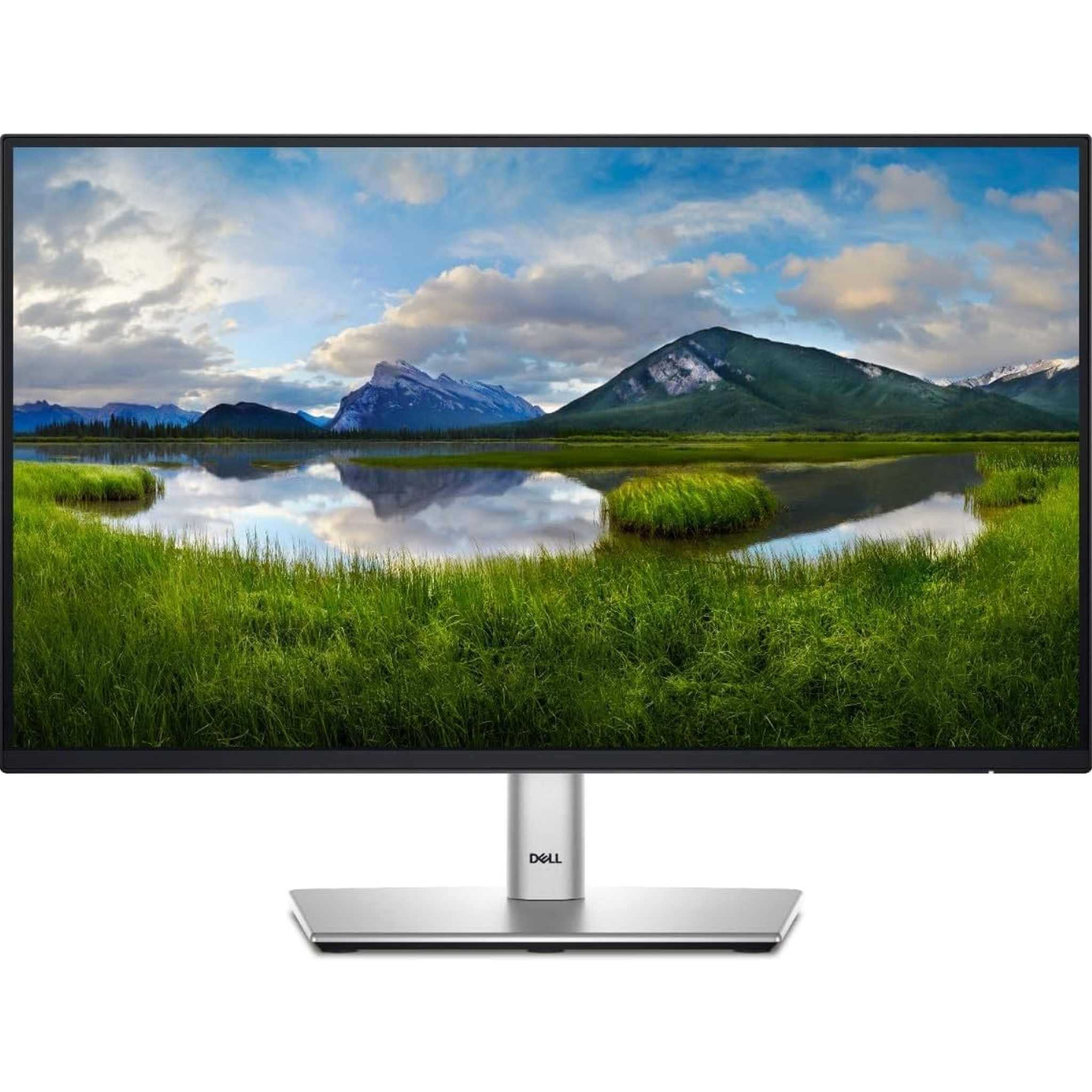 Dell 22" Monitor P2225H