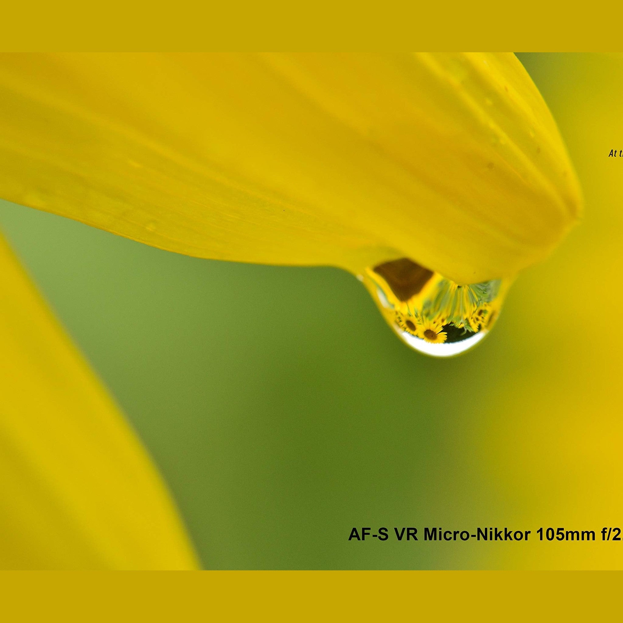 Nikon AF-S VR Micro-NIKKOR 105mm f/2.8G IF-ED Lens - Used Nikon