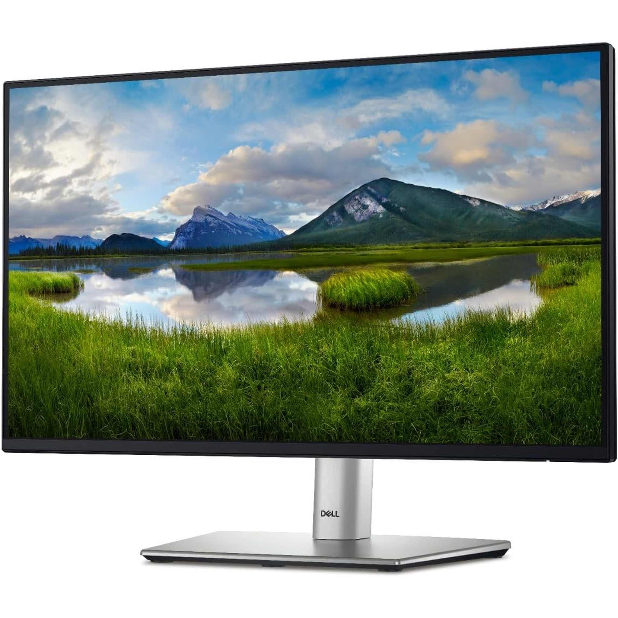 Dell 22" Monitor P2225H
