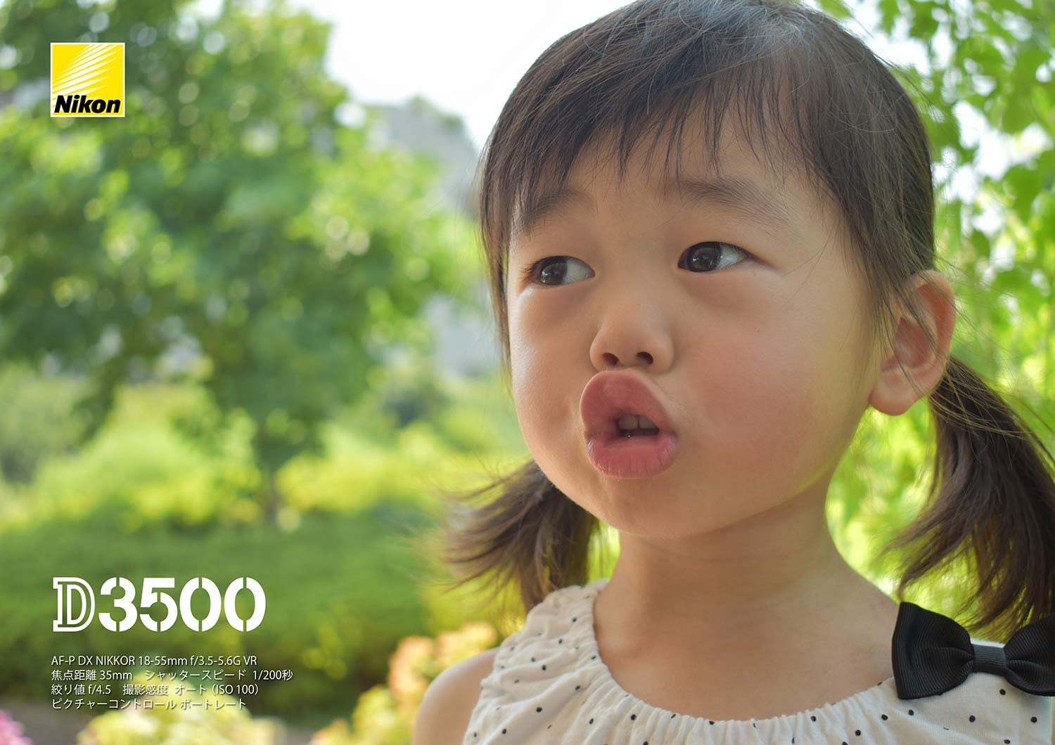 Nikon D3500 24.2MP DX-Format DSLR Digital Camera Body Only - Japan Import