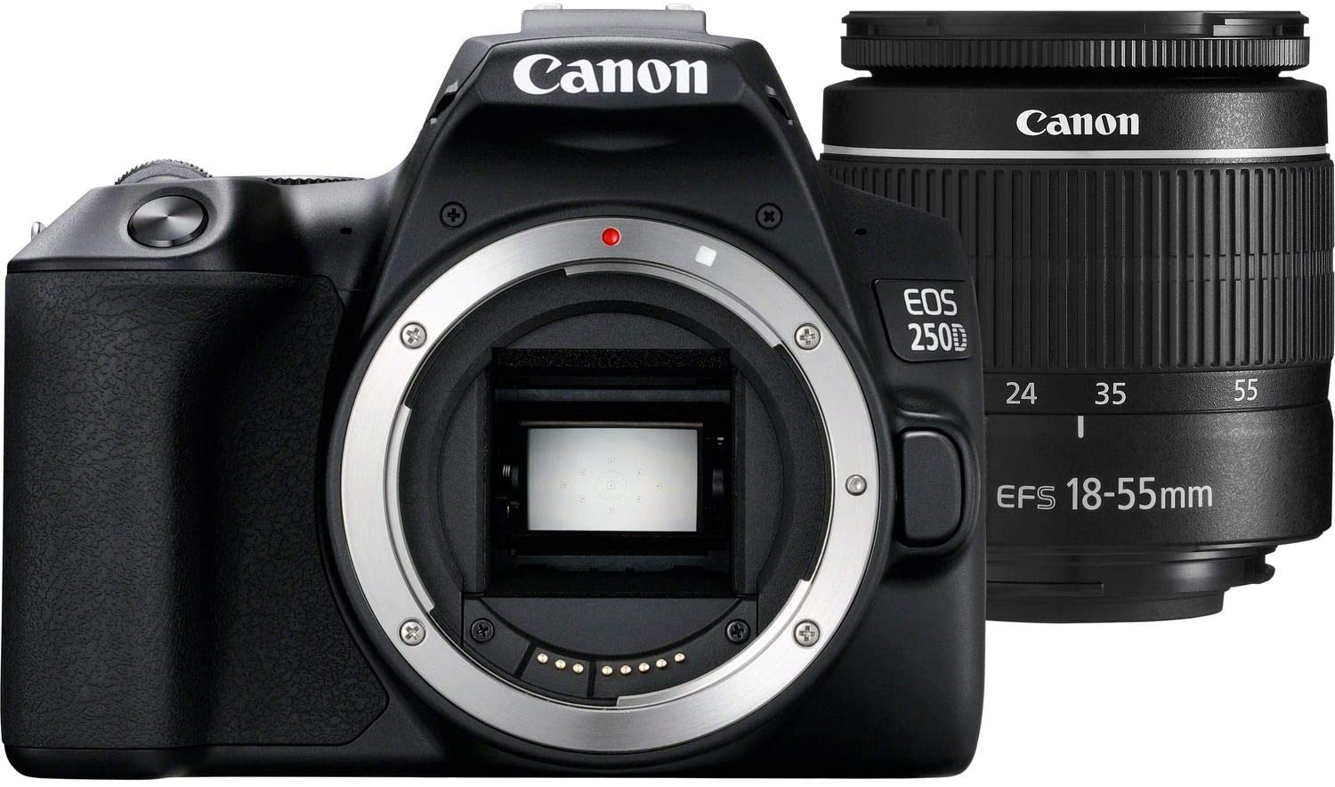 Canon EOS 250D / Rebel SL3 DSLR Camera with 18-55mm Lens (Black) + Creative Filter Set, EOS Camera Bag + Sandisk Ultra 64GB Card + 6AVE Electronics
