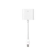 Apple Mini DisplayPort to DVI Adapter