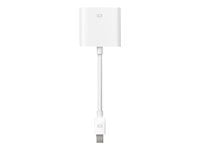 Apple Mini DisplayPort to DVI Adapter