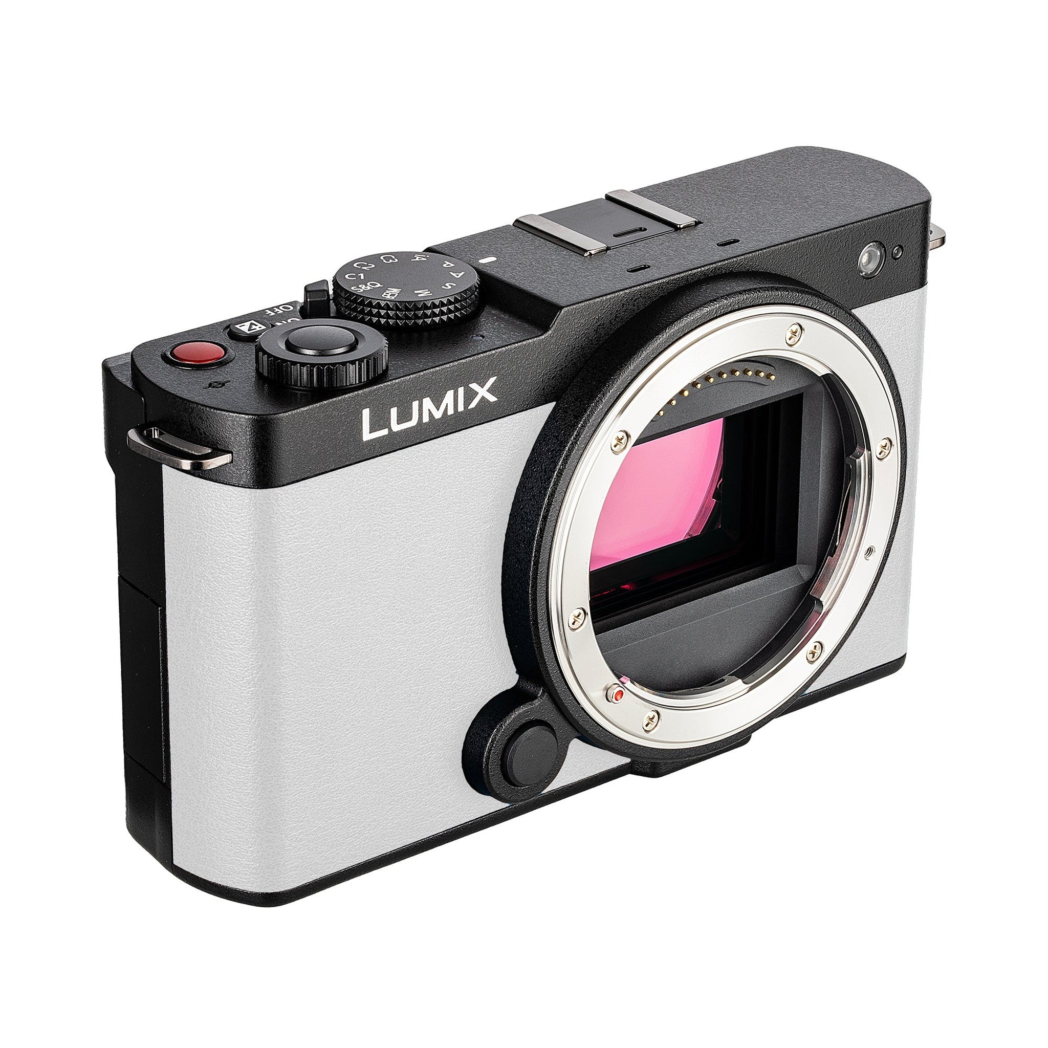 Panasonic Lumix S9Camera White , 64GB SF-M UHS-II SDXC Memory Card