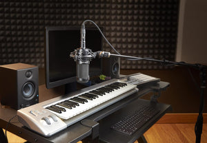 Audio-Technica AT2035 Cardioid Condenser Microphone, 10 Ft XLR Cable, Bundle