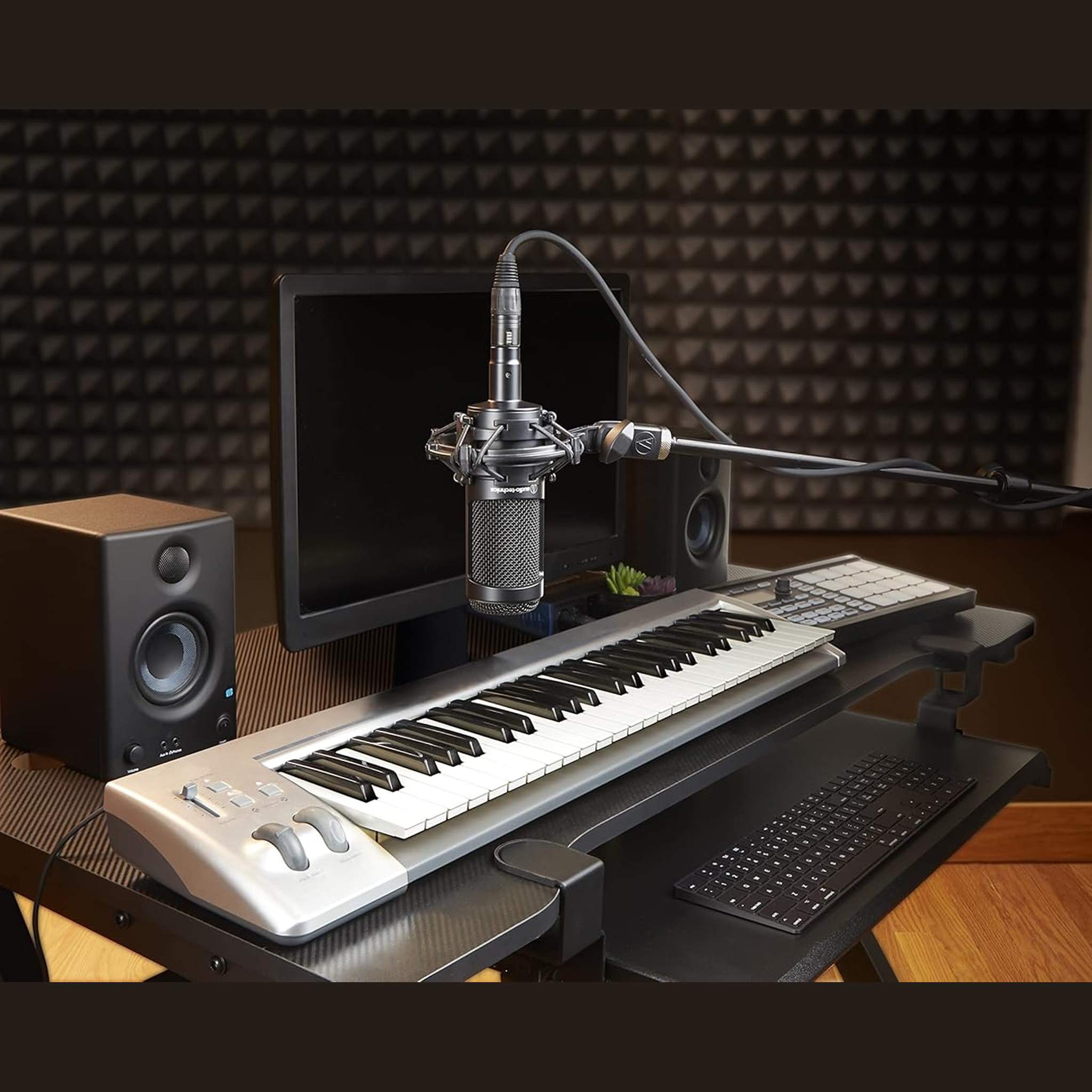 Audio-Technica AT2035 Cardioid Condenser Microphone, 10 Ft XLR Cable, Bundle