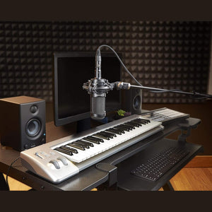 Audio-Technica AT2035 Cardioid Condenser Microphone, 10 Ft XLR Cable, Bundle