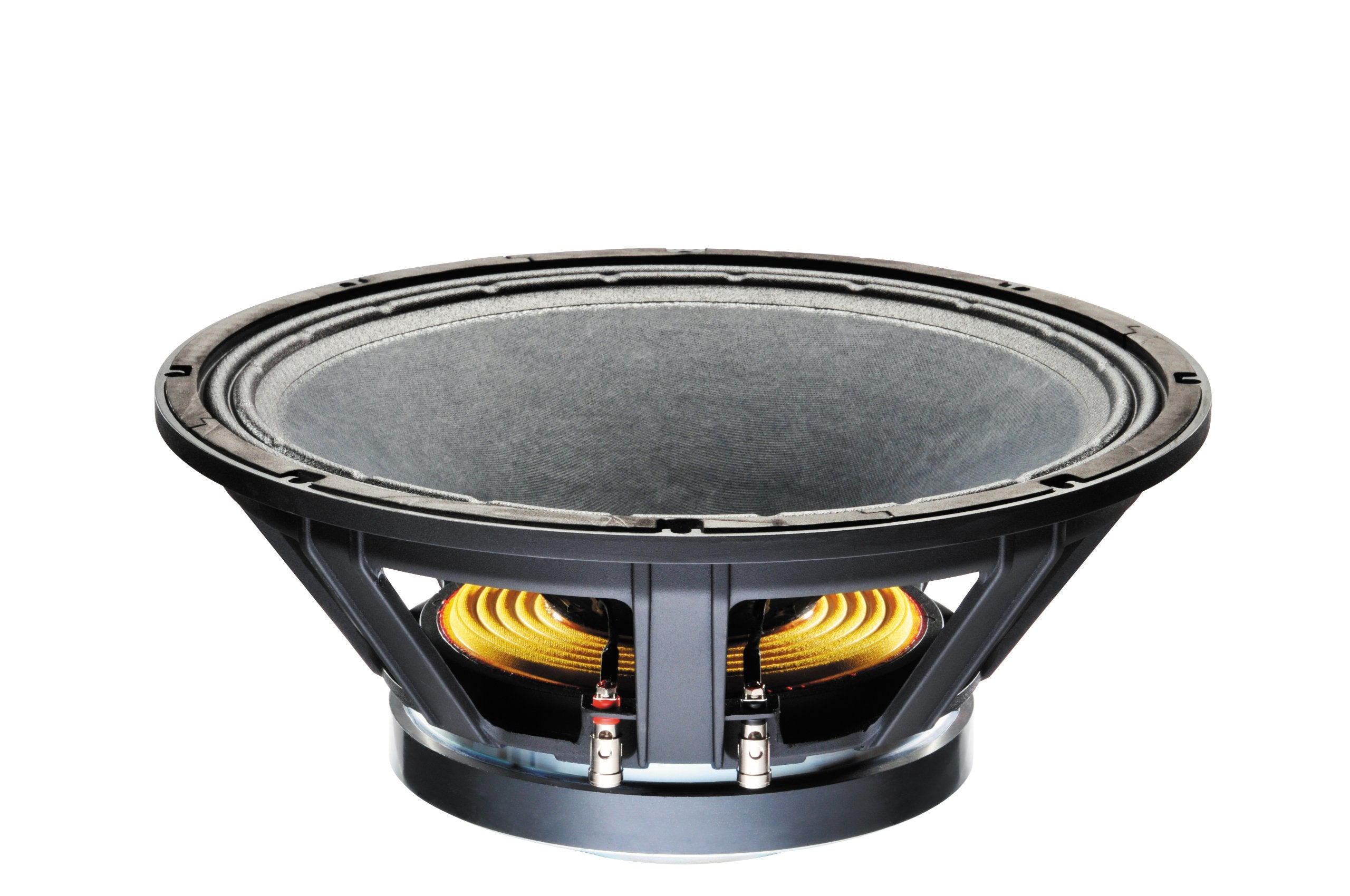 Celestion FTR15-4080F, 15" cast chassis PA speaker