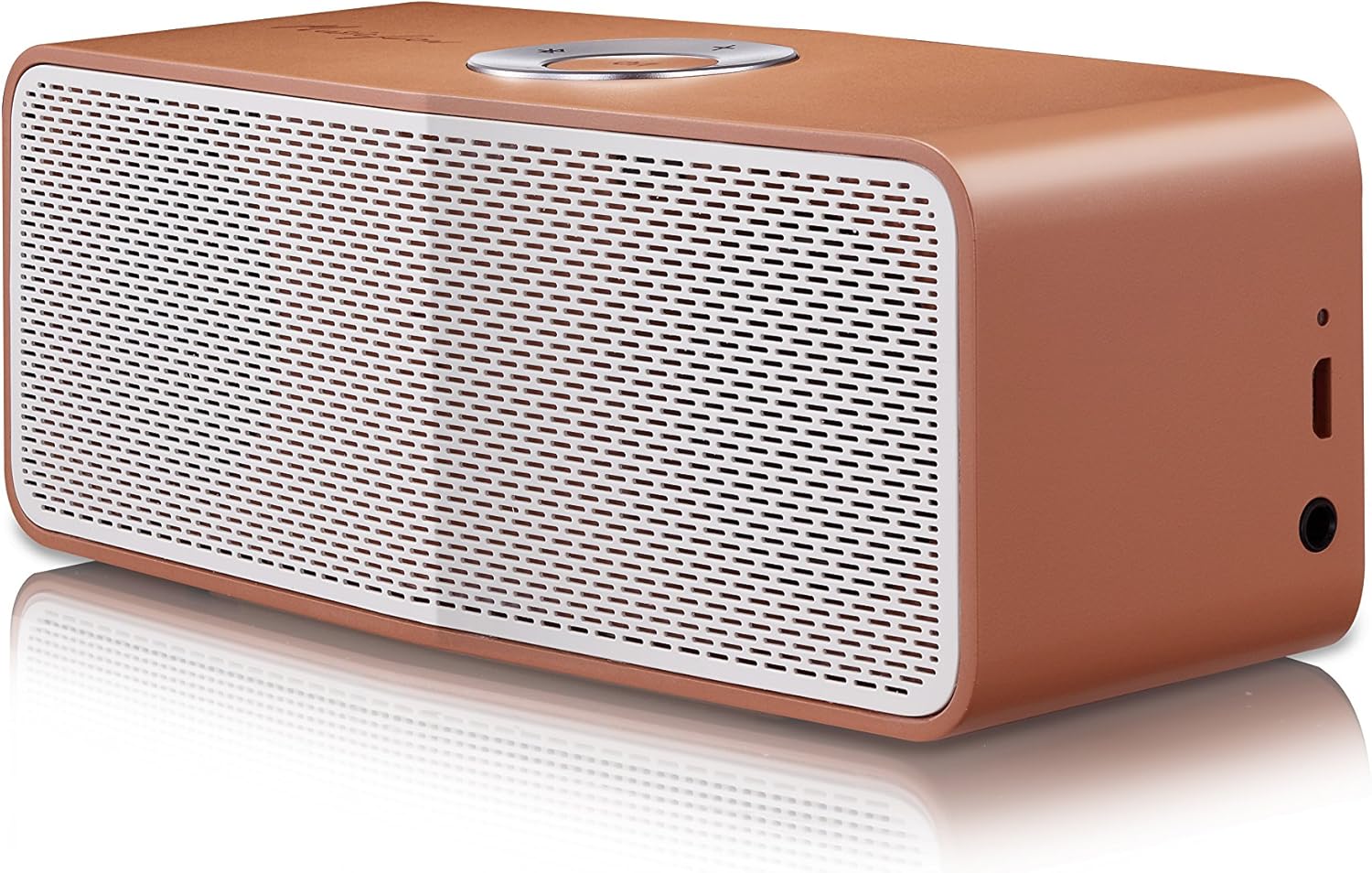 LG Music Flow P5 Portable Bluetooth Speaker Bundle 4
