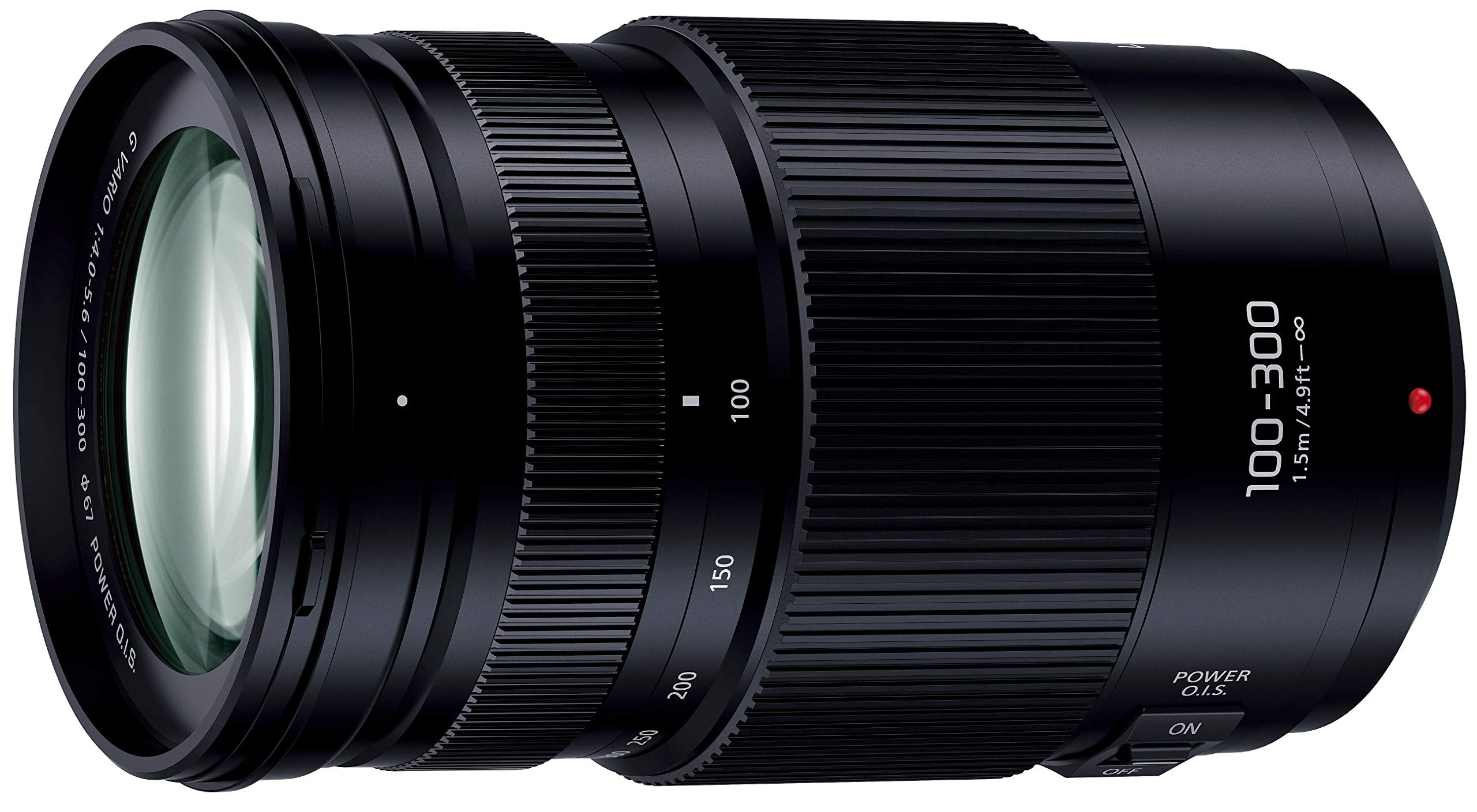 Panasonic Lumix G Vario 100-300mm f/4-5.6 II POWER O.I.S. Lens