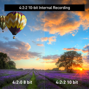 Panasonic HC-X20 Camcorder, 4K 60p, 1.0-inch Sensor, 24.5mm Wide-Angle Lens and Optical 20x Zoom