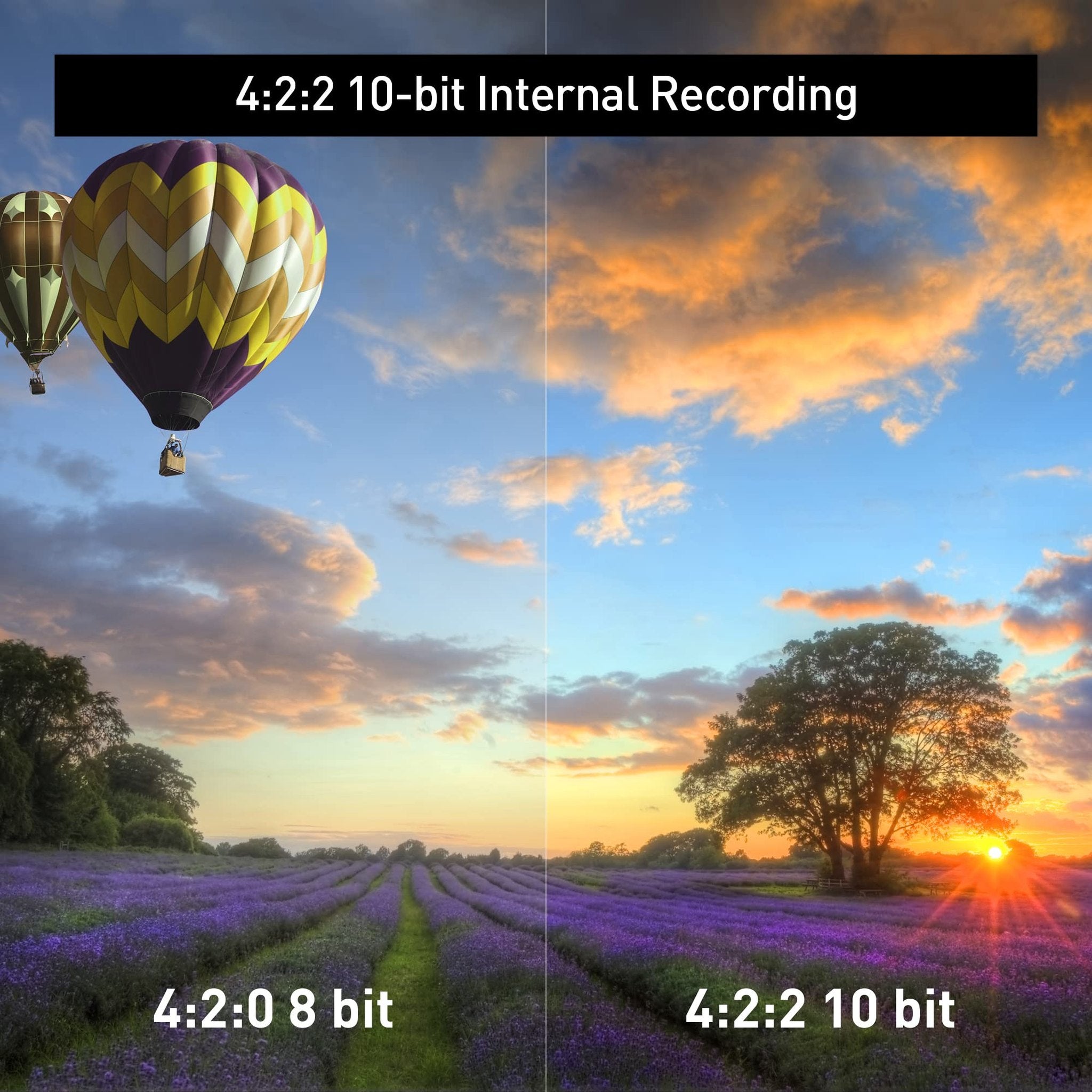 Panasonic HC-X20 Camcorder, 4K 60p, 1.0-inch Sensor, 24.5mm Wide-Angle Lens and Optical 20x Zoom