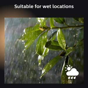 Philips Hue Inara White Outdoor Lantern, Wall Fixture & 1 Hue White A19 LED Smart Bulb, Use with Alexa, Homekit & Google